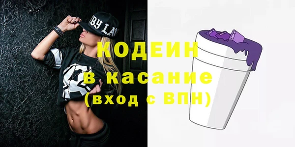 хмурый Алексин
