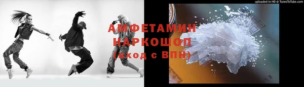хмурый Алексин