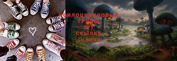 хмурый Алексин
