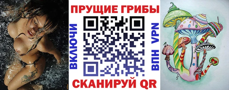 Псилоцибиновые грибы мицелий  Кимры 